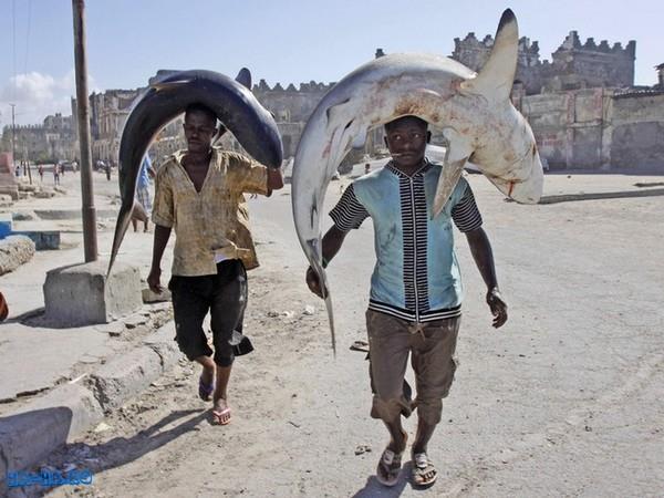 de pe net - pescariinegrii.jpg